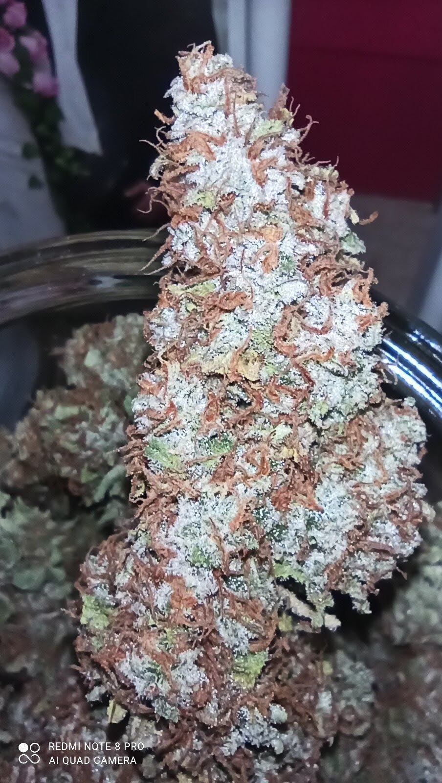 ac1297ad-fed0-482c-bab6-28d013b3093b-1_all_59946