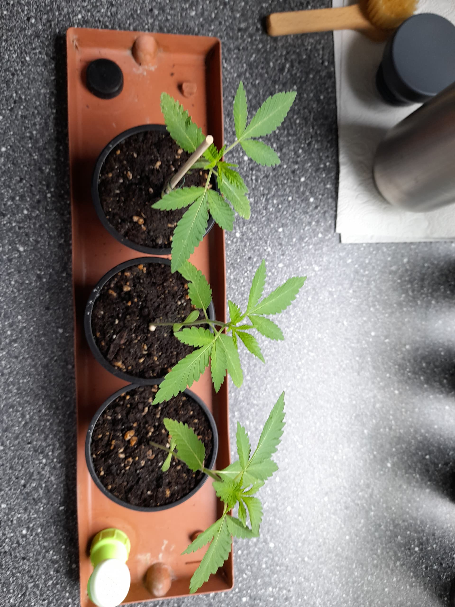 17565645611674685827877518357345