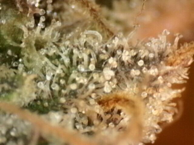 IPC_2025-12-18.13.29.09.7370