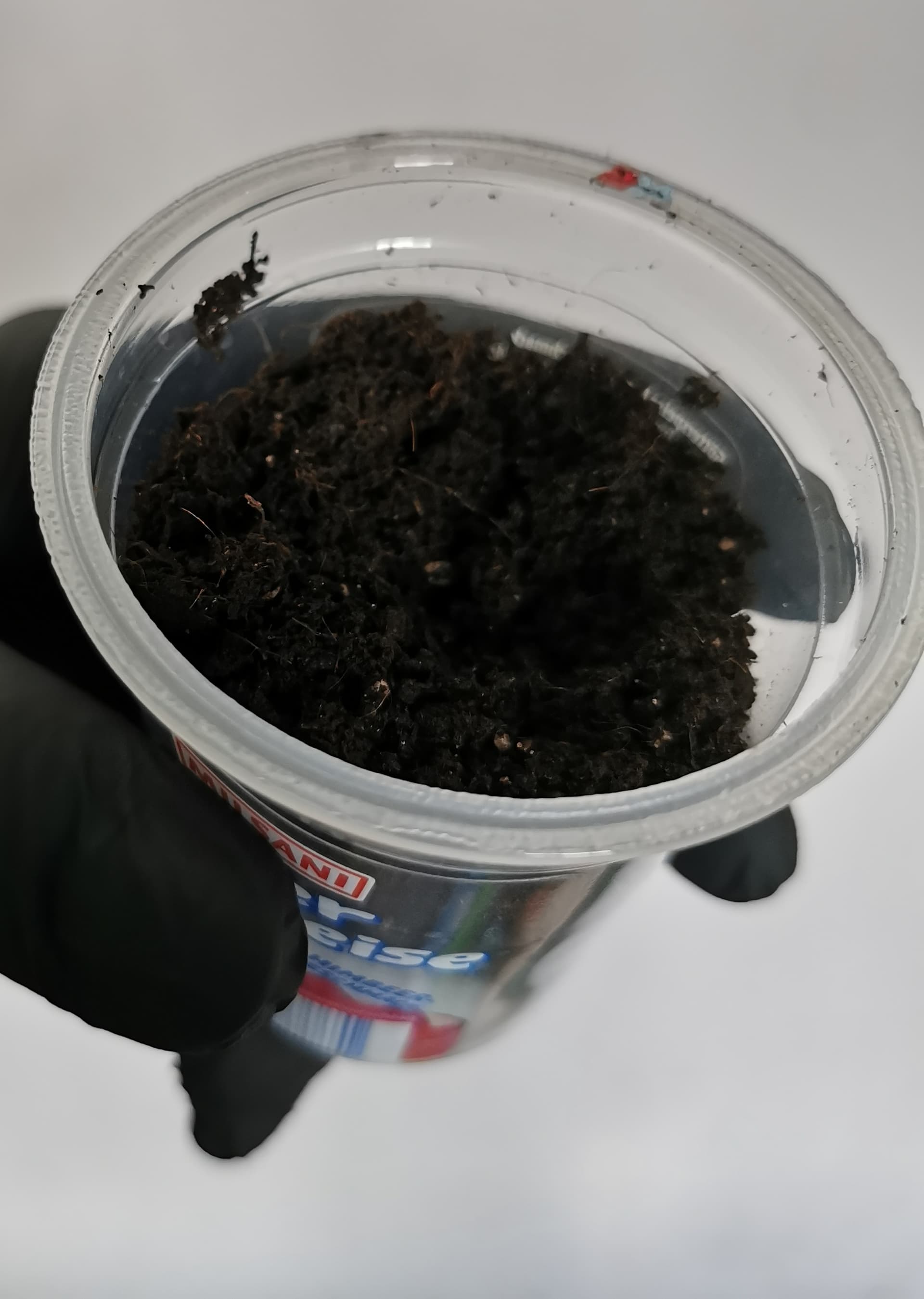 IMG_20250819_115842_edit_647190012505413