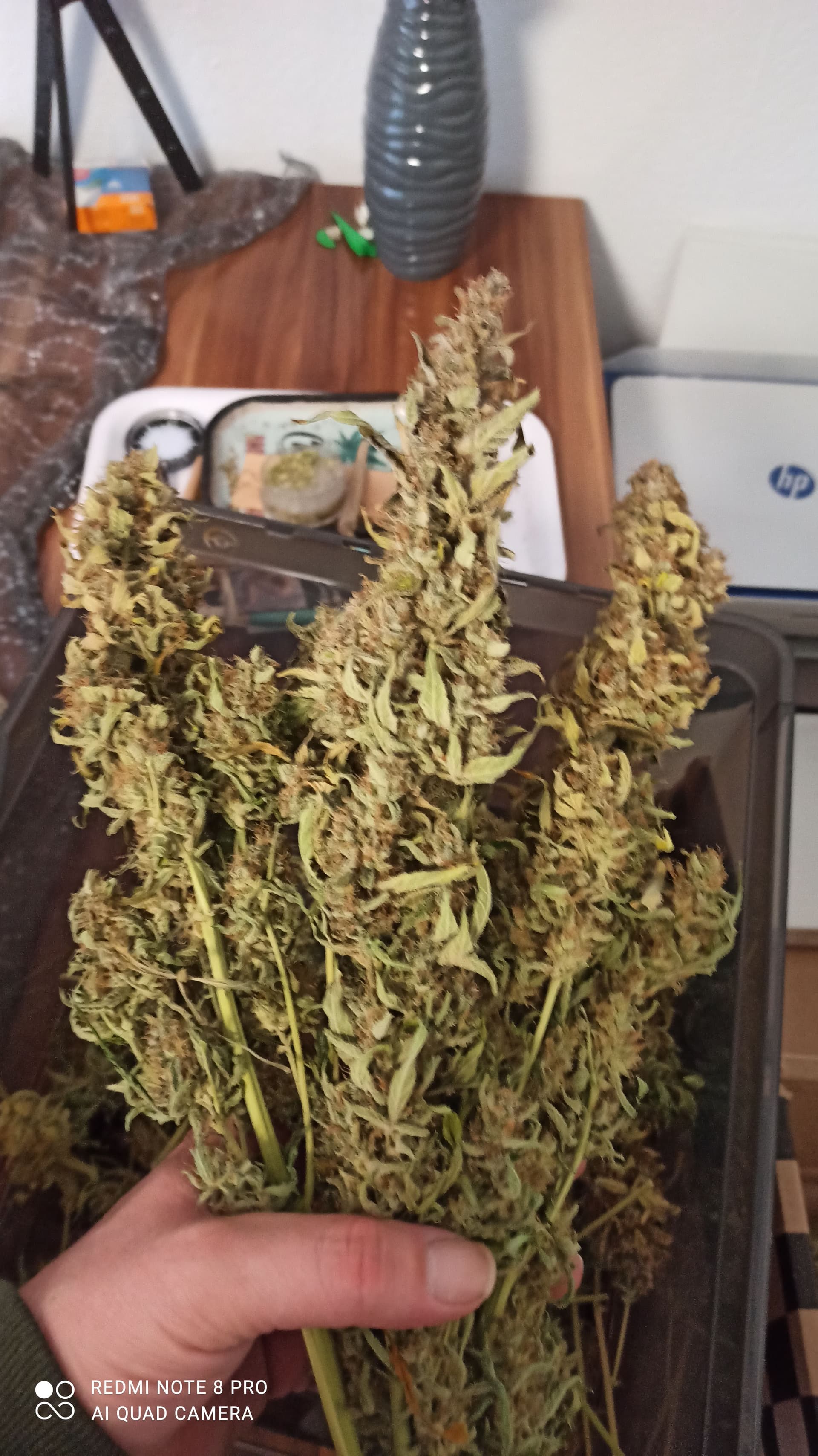 ac1297ad-fed0-482c-bab6-28d013b3093b-1_all_59940